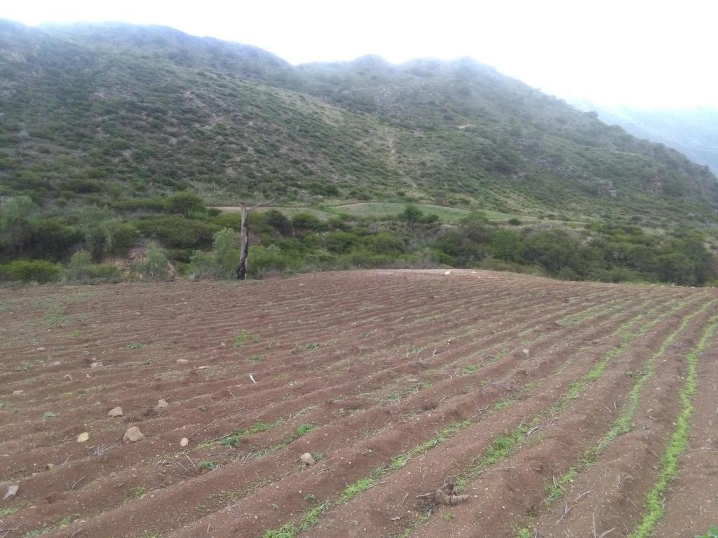 Terreno en Marcahuasi Mollepata, Provincia de Anta