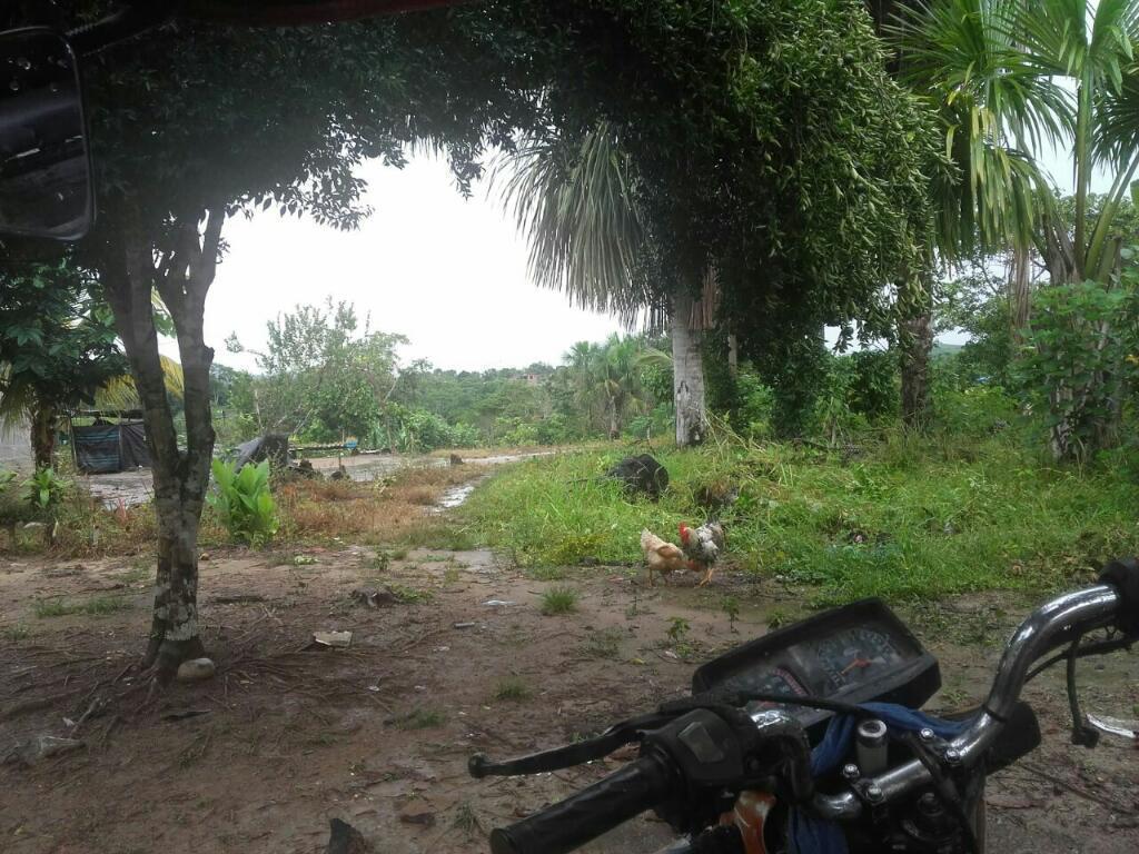 Venta de Lotes de Terreno en Uchiza