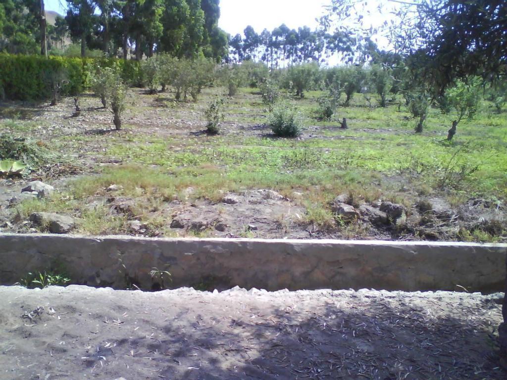 $180,000 DOLARES HERMOSO TERRENO 2532 M2 EX HACIENDA SAN ANDRES KM. 74 PAN. SUR