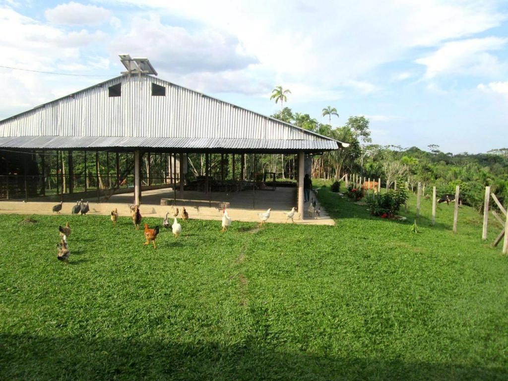 FUNDO ALTAVISTA Iquitos VENTA de Hermoso y enorme terreno de 224 hectáreas