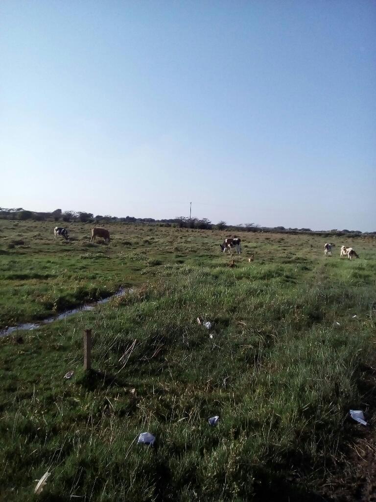 Vendo Terreno Agricola en Caleta Sanjose