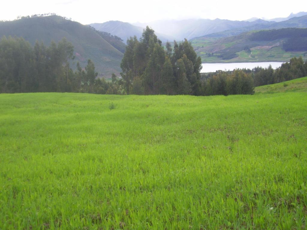 VENDO TERRENO DE 1500 M2 EN CHINCHERO $ 7 EL M2