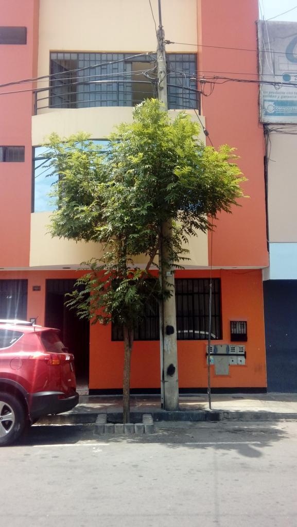 ALQUILO DEPARTAMENTO EN LINCE 1ER PISO PUERTA CALLE 2,000SOLES