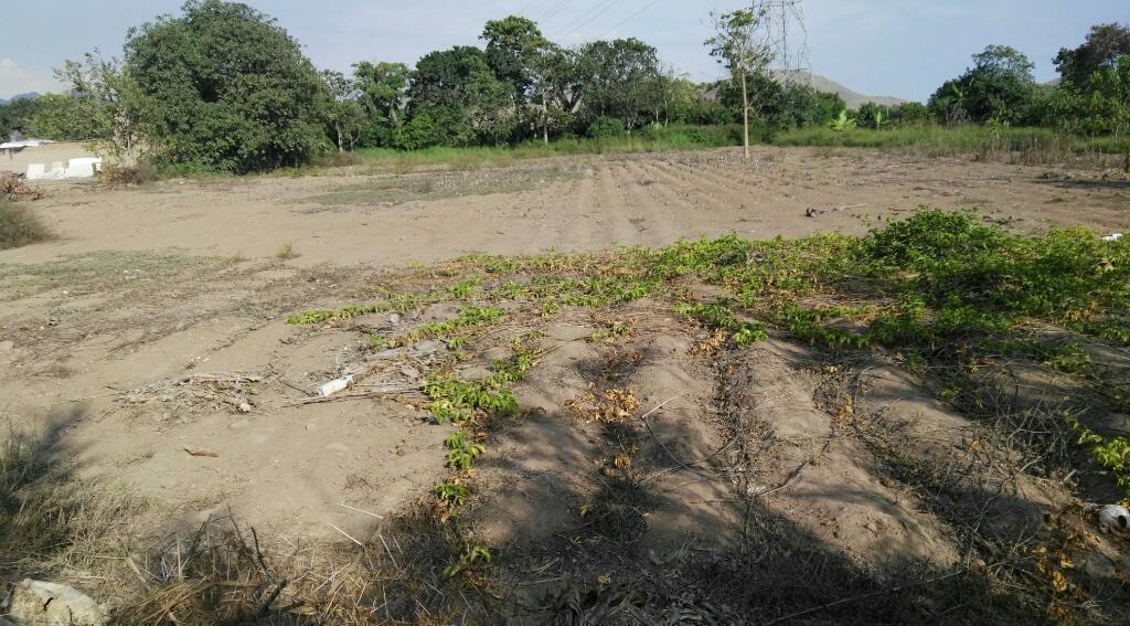 Terreno en Casica a Una Cuadra de Kusina