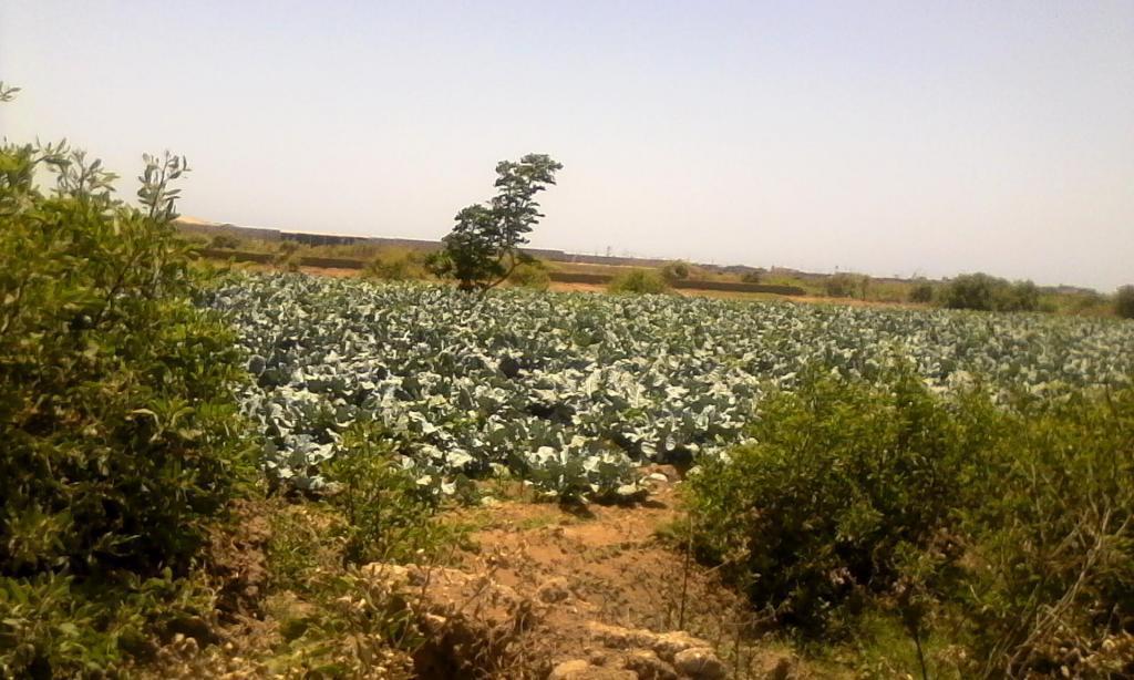 REMATO EN MOCHE 8,850 M2. Reg/.SUNARP, PARA CASA DE CAMPO, FABRICAS OTROS PROYECTOS