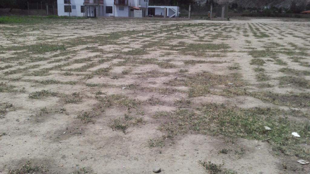 TERRENO EN LA ESPERANZA DE 140 MTS.EN PLENA ESQUINA A UNA CUADRA DE LA PISTA PASANDO LA UNIVERSIDAD DE HUANUCO