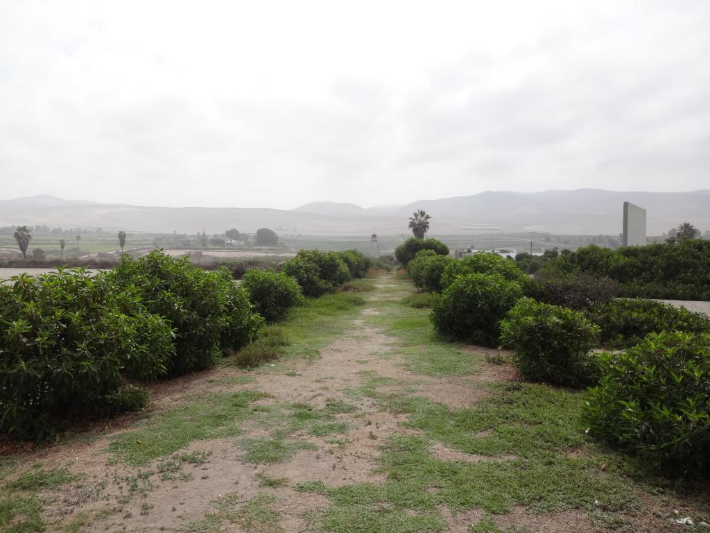 Vendo terreno en la urbanización Arizona Mollendo Mejia