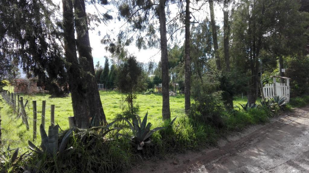 VENDO TERRENO DE 1,384 m2 EN OTUZCO INCLUYE CONSTRUCCION DE MATERIAL NOBLE