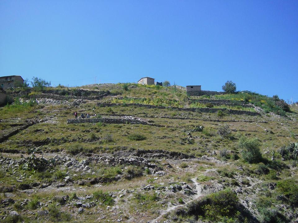 ocasión vendo terreno