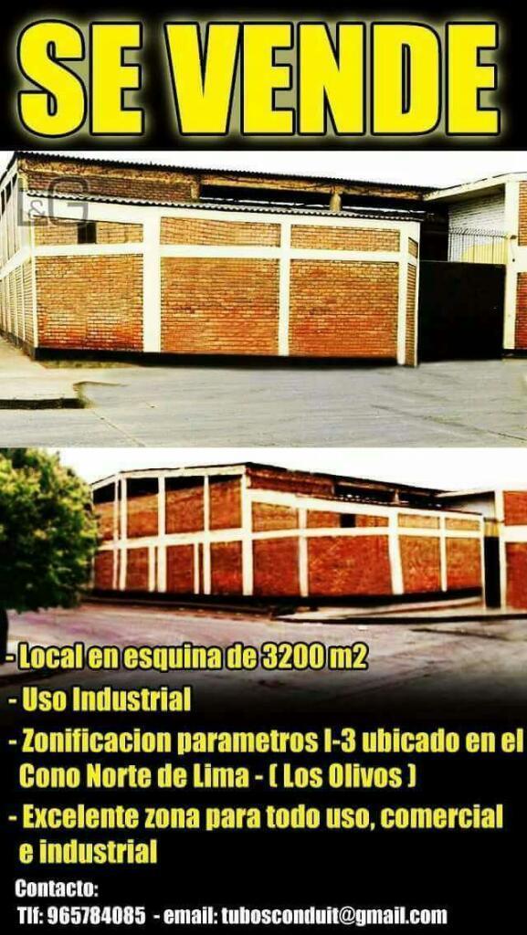 Local Industrial 3.000m2 Los Olivos I-3