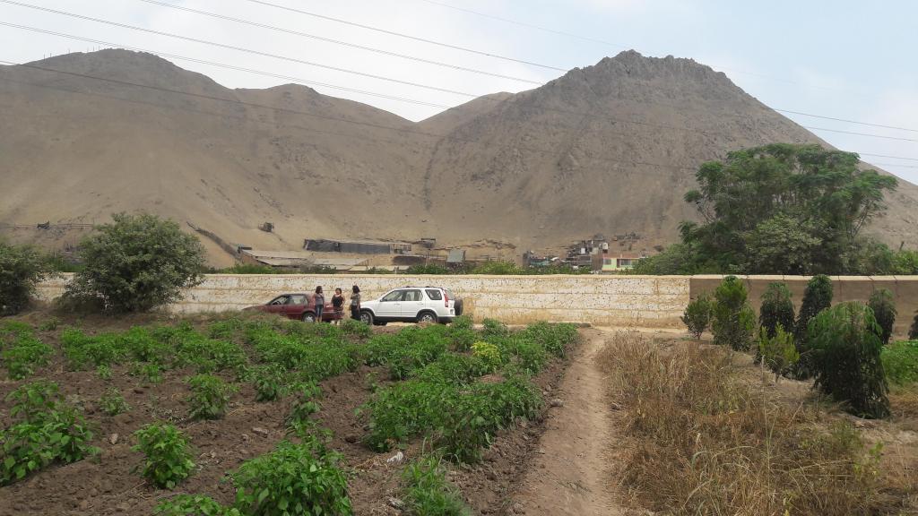 Vendo Dos Terrenos agrícolas en Lurín Documentos en regla