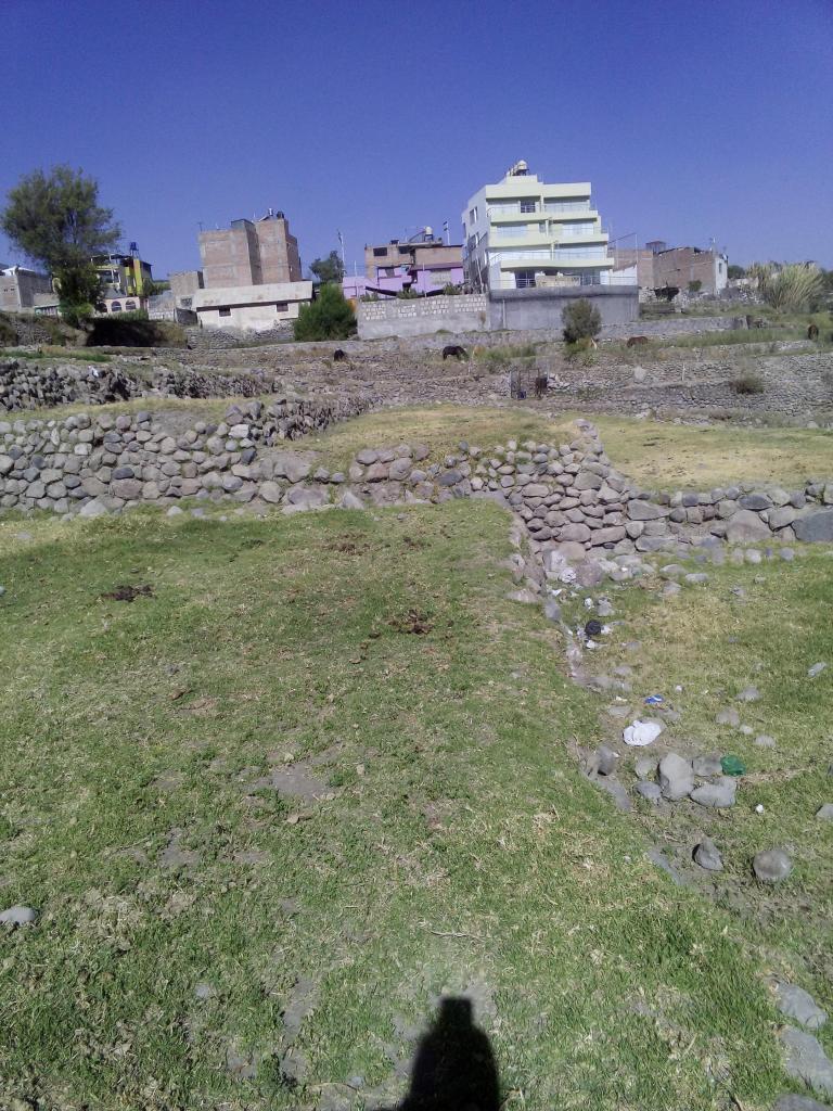 POR VIAJE VENDO TERRENO AGRICOLA EN PAUCARPATA