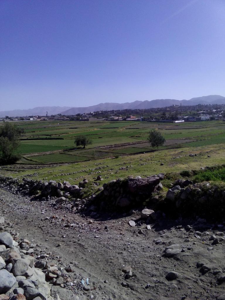 POR VIAJE VENDO TERRENO AGRICOLA EN PAUCARPATA